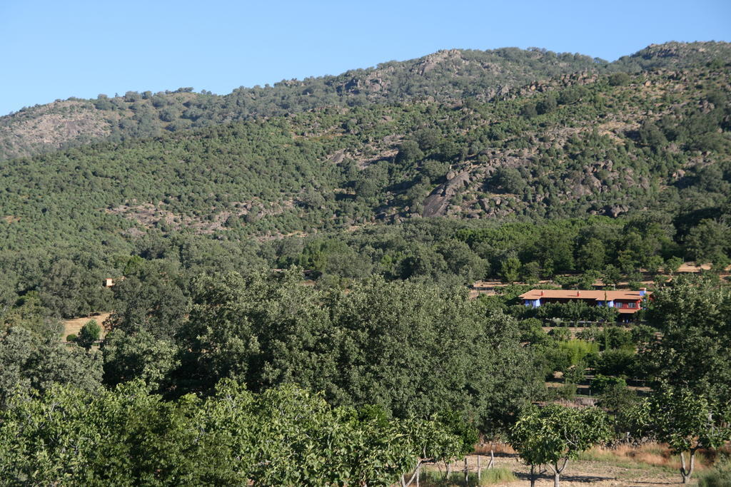 Lalisea Pension Talaveruela Buitenkant foto